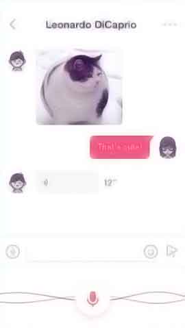 免费ddos平台攻击软件程序维护界面